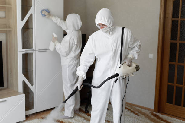 Best Mold Odor Removal Services  in USA